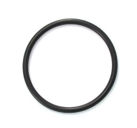 AstralPool / Viron / Hurlcon O ring for 50mm MPV union adapter E, RX series - 70009