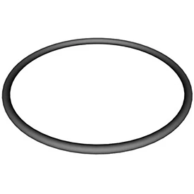 Hayward Super II Lid Oring - Spare Parts