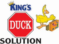 King’s Duck Solution—Duck Repellent (1L) - Image 2