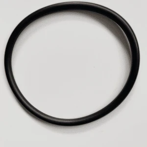 Waterco Electrochlor & Hydrochlor Cell Oring - Image 2